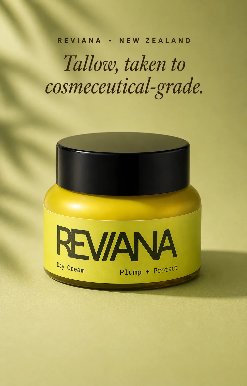 Reviana Tallow Day Cream โ barrier building